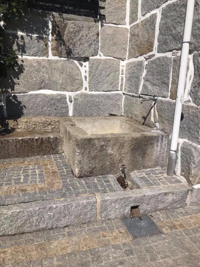 فيلا Casa Do Abeto Carvalhosa المظهر الخارجي الصورة