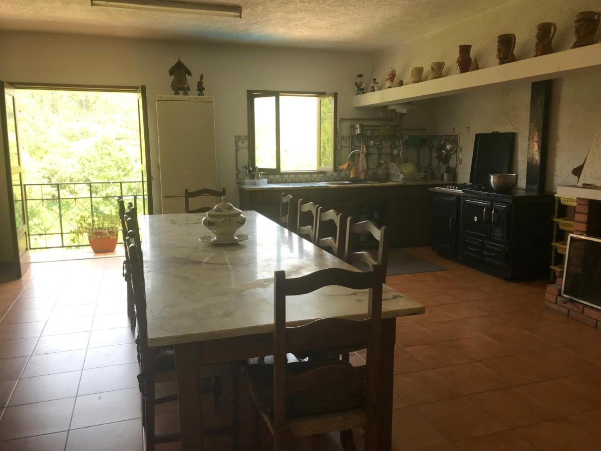 فيلا Casa Do Abeto Carvalhosa المظهر الخارجي الصورة